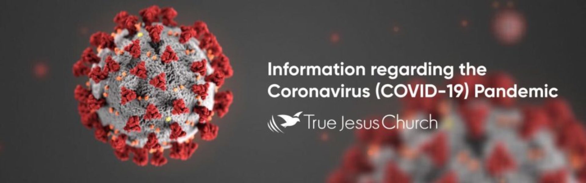 Information regarding the covid-19 pandemic