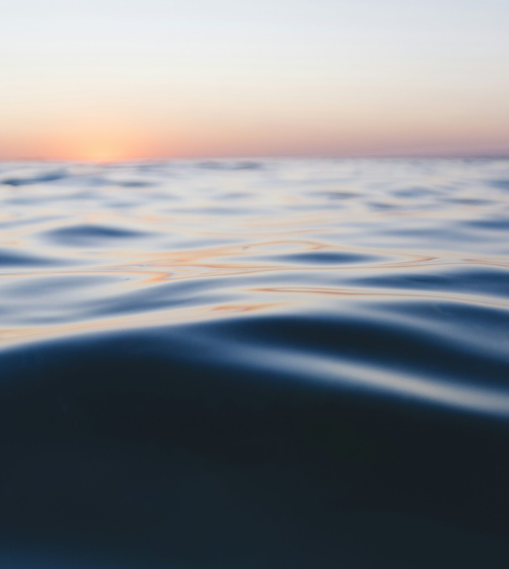 linda-xu-UGQpaq08Igw-unsplash